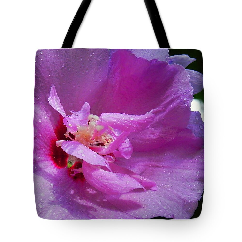 Flowers Tote Bag featuring the photograph Hollyhock by Patricia Greer