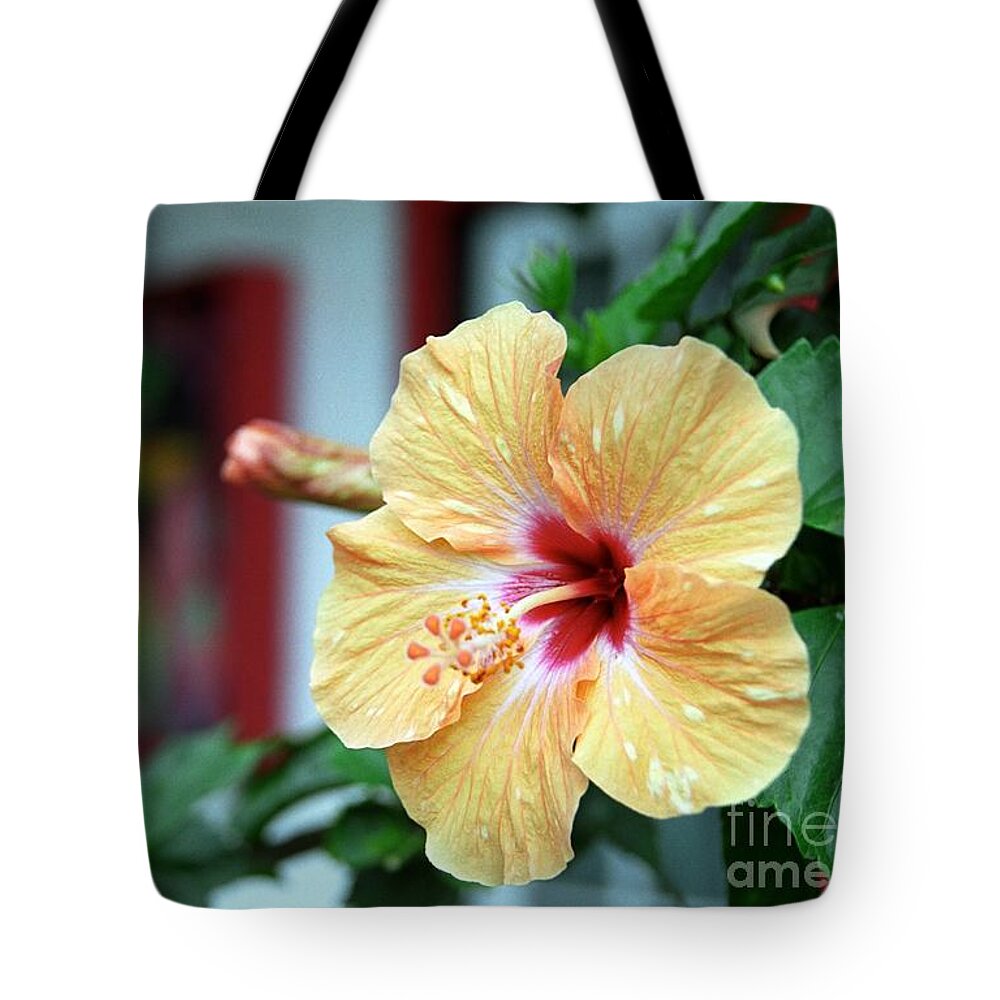 Hibiscus Tote Bag featuring the photograph Holualoa Hibiscus by James B Toy