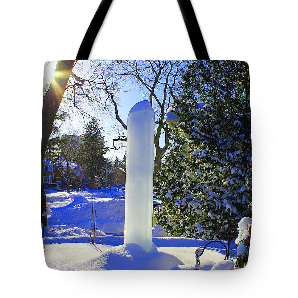 Homage Tote Bag featuring the photograph Homage to Winter in the City by Nina Silver