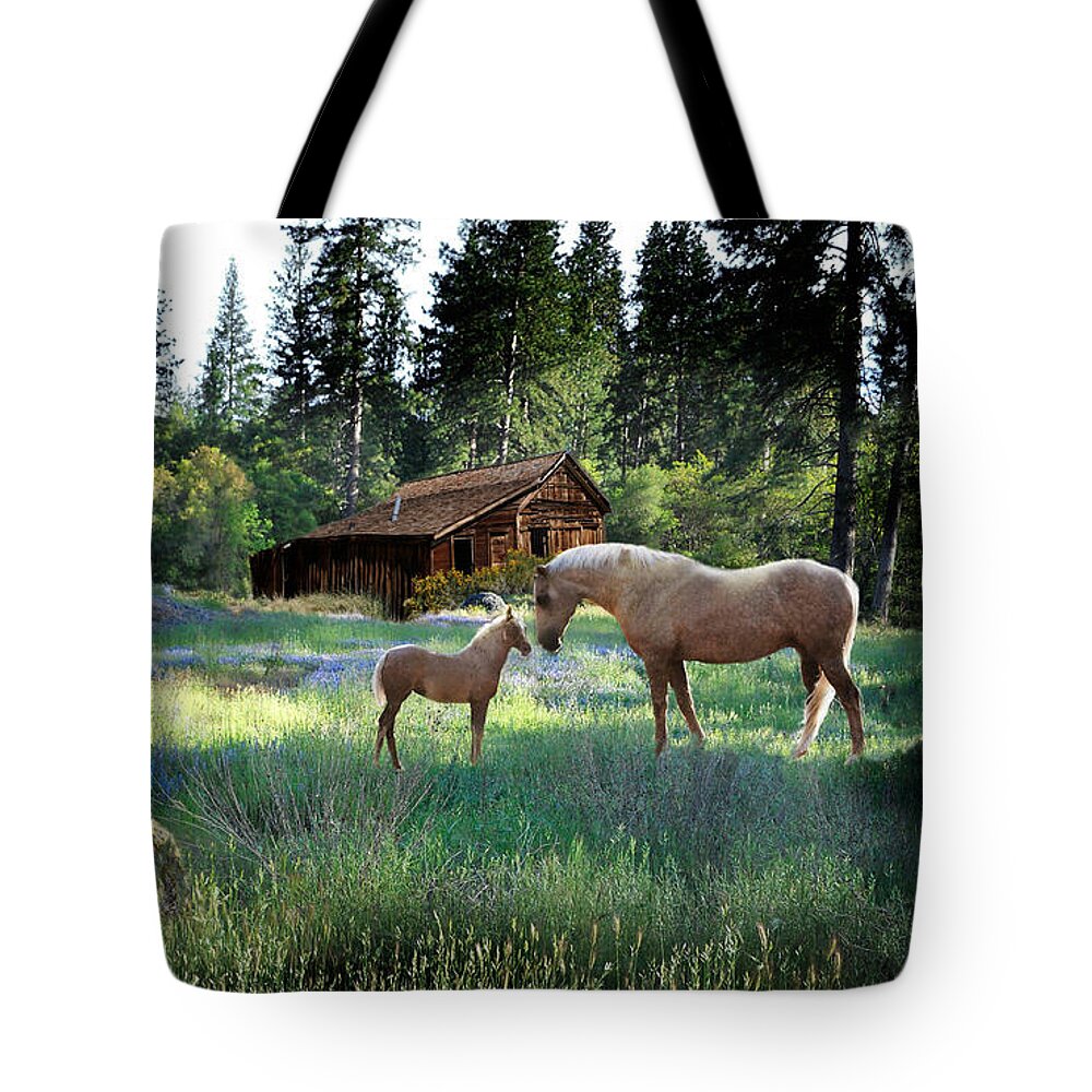 Palominos Tote Bag featuring the photograph Home Sweet Home by Melinda Hughes-Berland