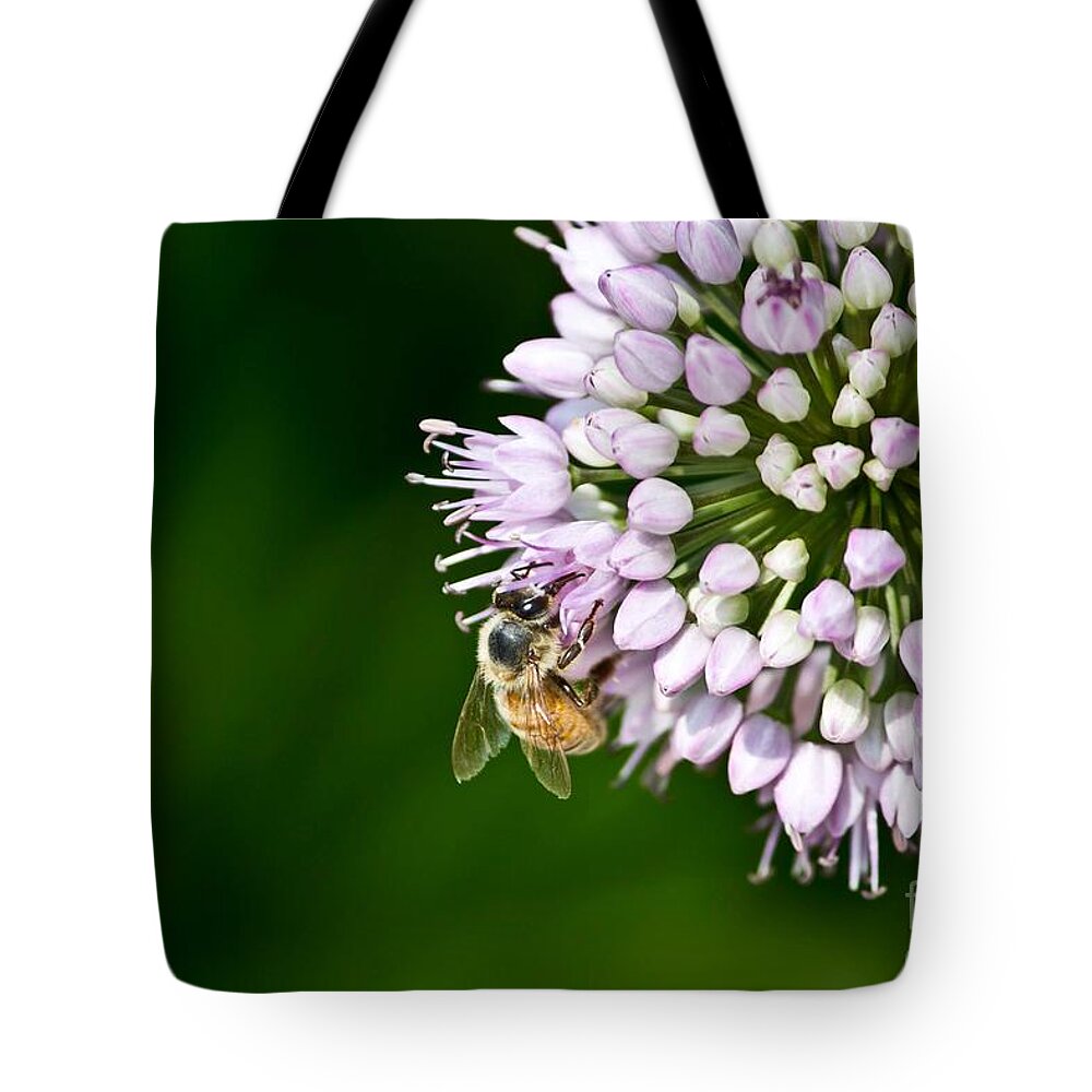 Bee Tote Bag featuring the photograph Honey Bee and Lavender Flower by Ms Judi