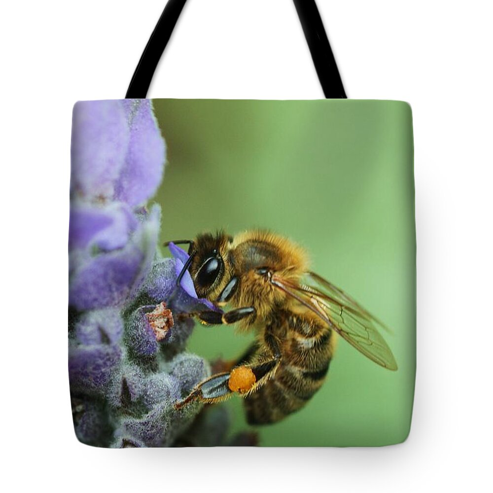 Bee Tote Bag featuring the photograph Honey Bee by Joy Watson