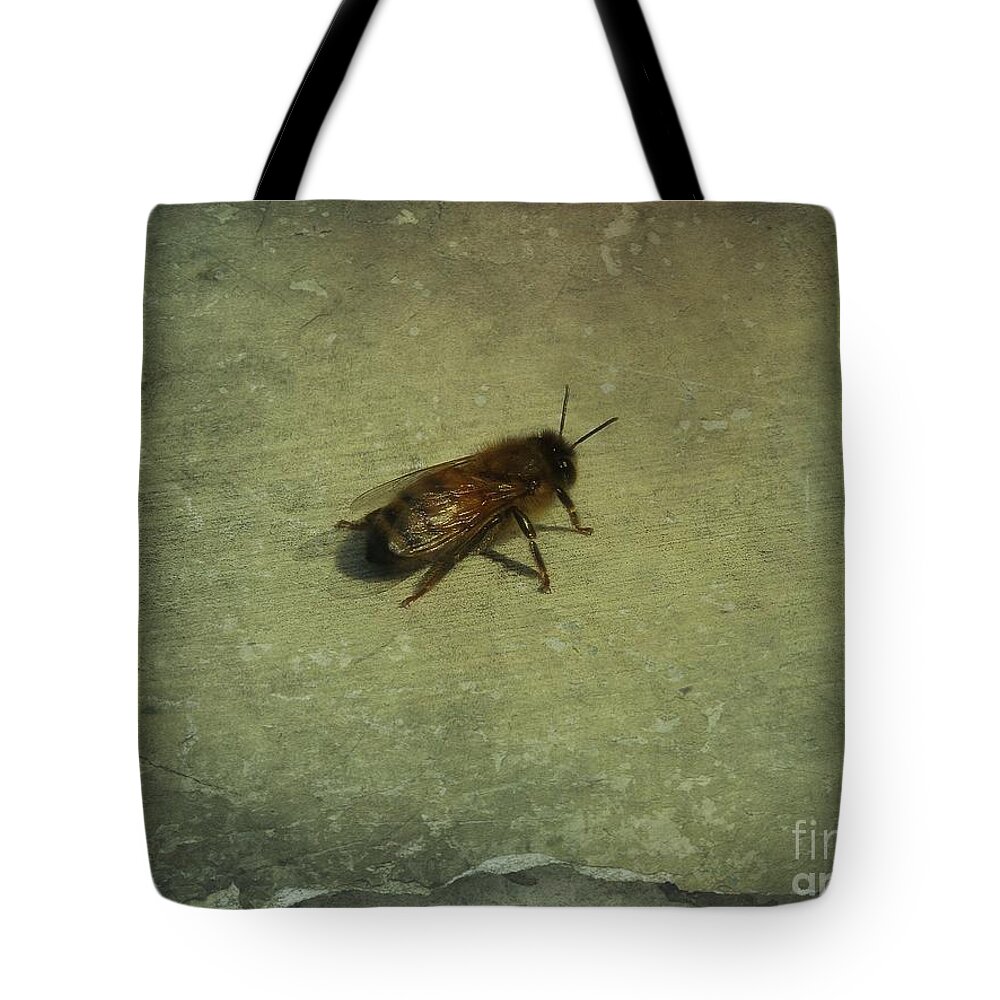 Honey Bee Tote Bag featuring the photograph Honey Bee by Kristine Nora