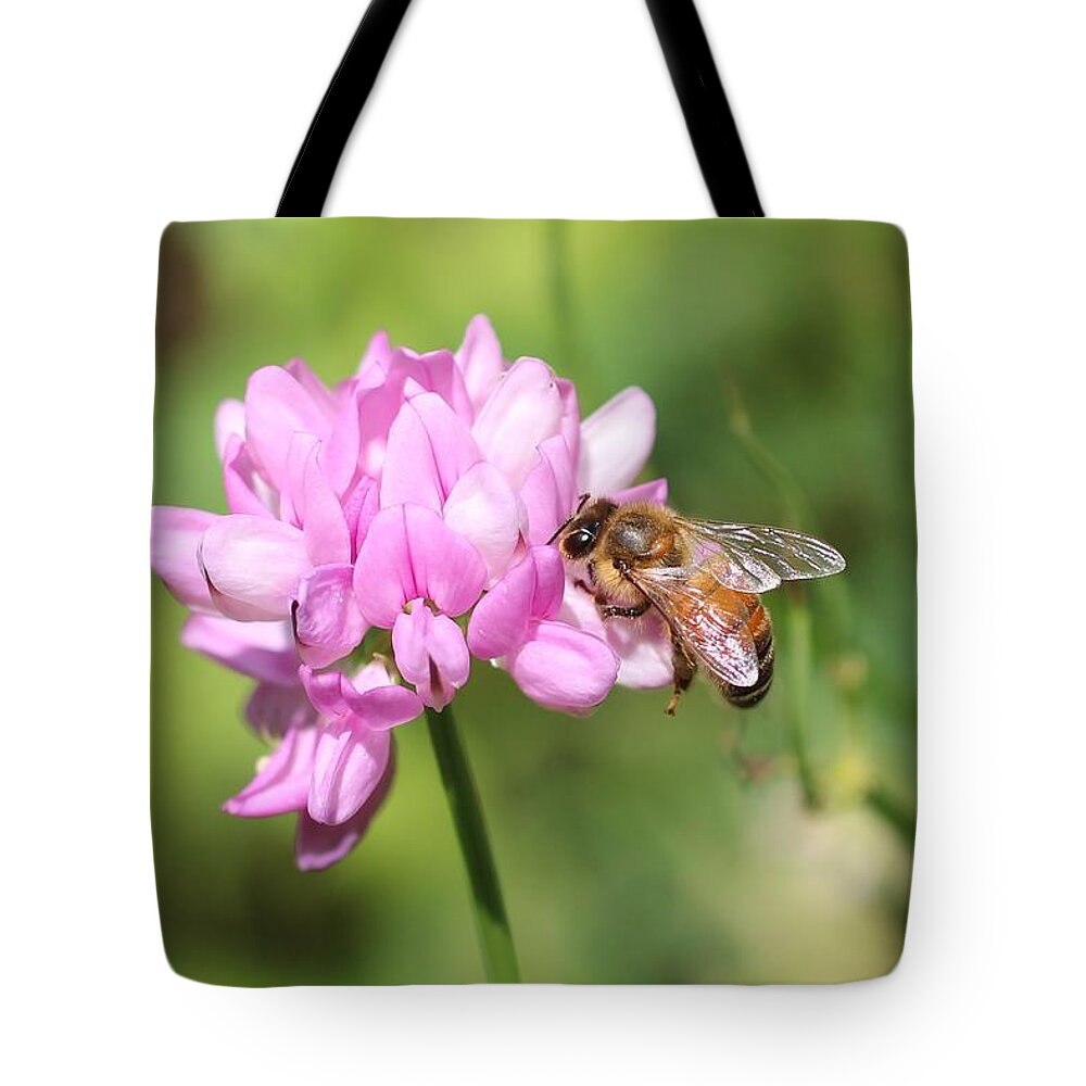 Honeybee Tote Bag featuring the photograph Honeybee on Crown Vetch by Lucinda VanVleck