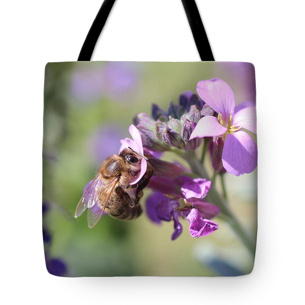 Honeybee Tote Bag featuring the photograph Honeybee on Purple Wall Flower by Lucinda VanVleck