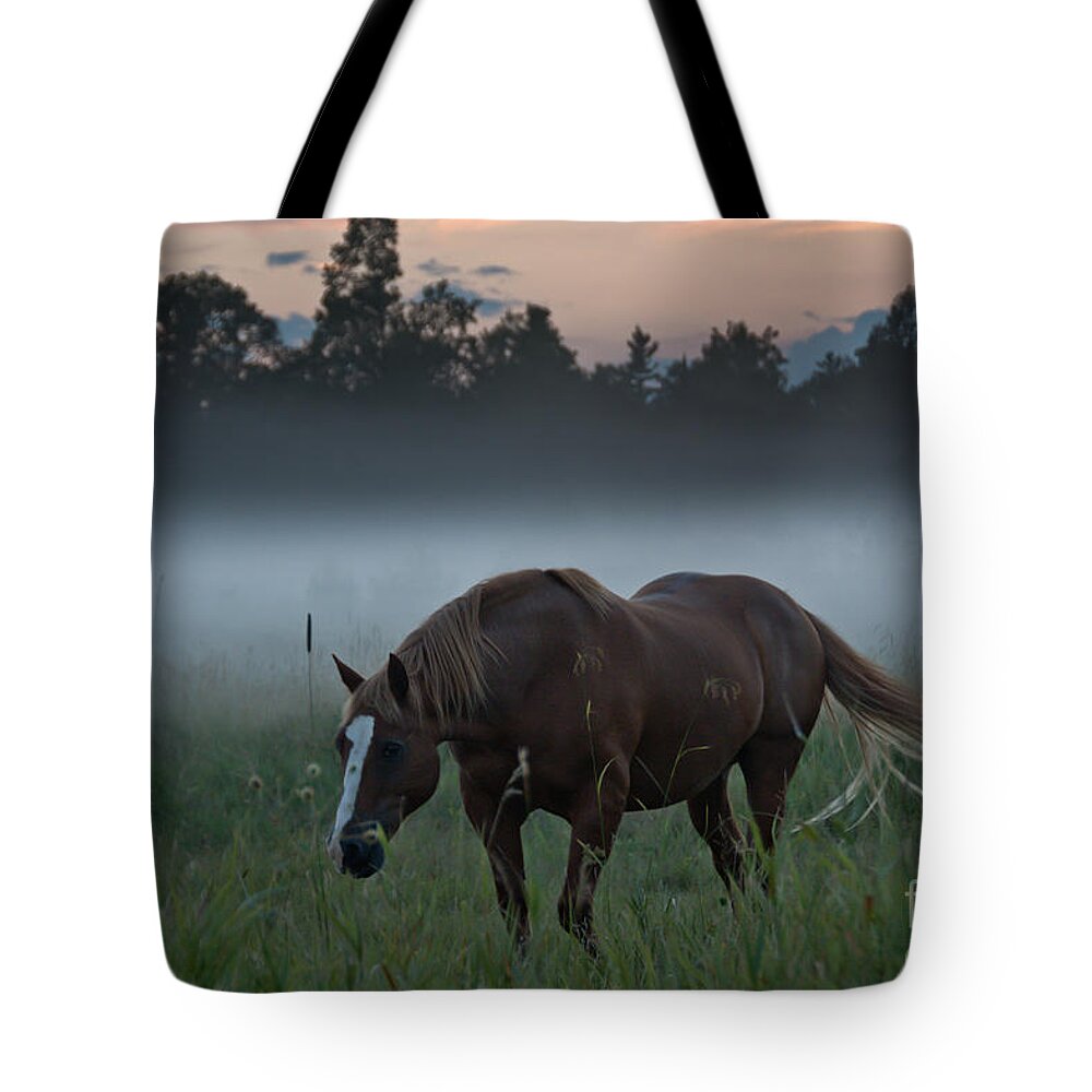 Landscape Tote Bag featuring the photograph Horse and Fog by Cheryl Baxter