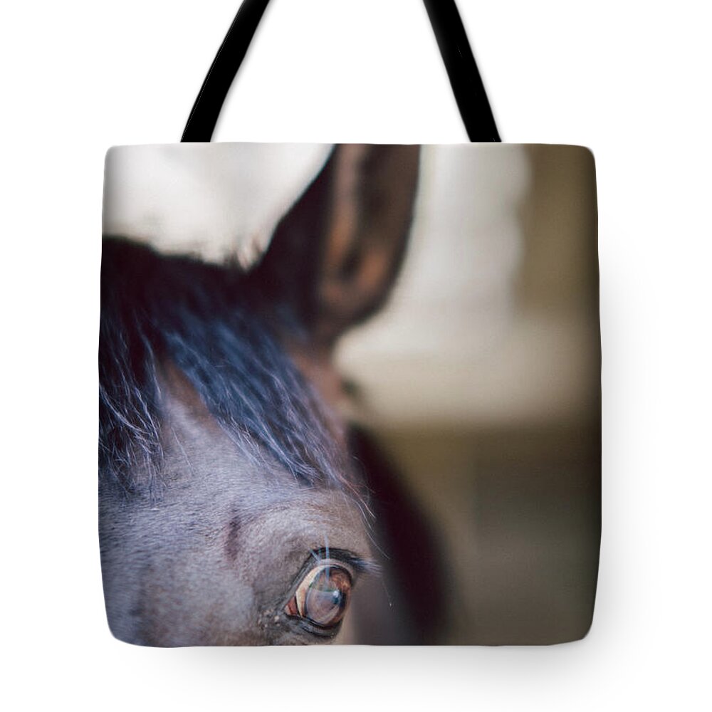 Horse Tote Bag featuring the photograph Horse Eye , Close Up by Guido Mieth