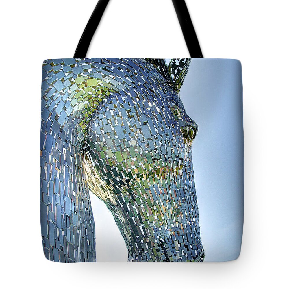 Chicago Tote Bag featuring the photograph Horse Head by Will Wagner