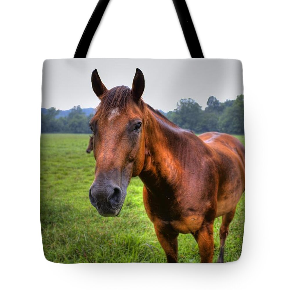 Horse Tote Bag featuring the photograph Horse in a Field by Jonny D