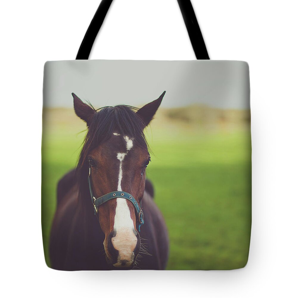 Horse Tote Bag featuring the photograph Horse In Green Field by Kay Maguire