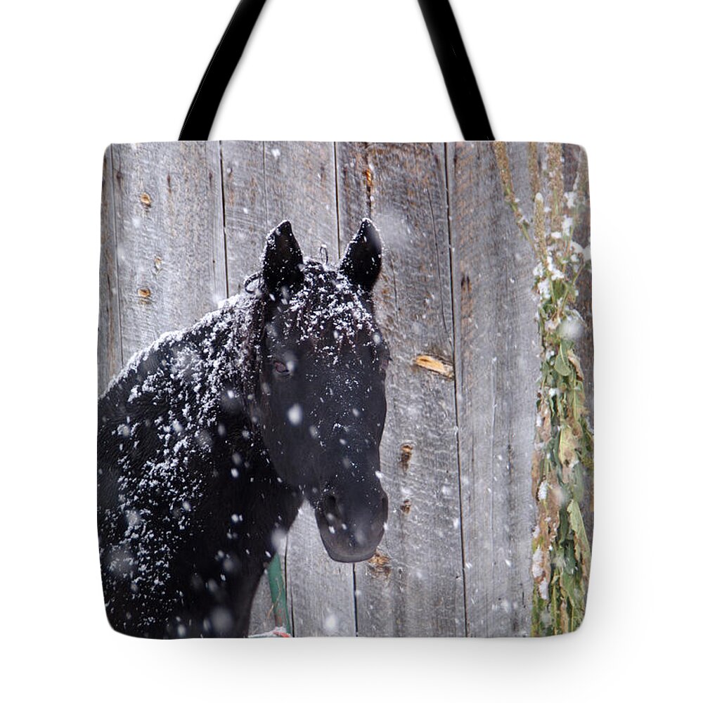 Snow Tote Bag featuring the photograph Horse In Snow by William Munoz