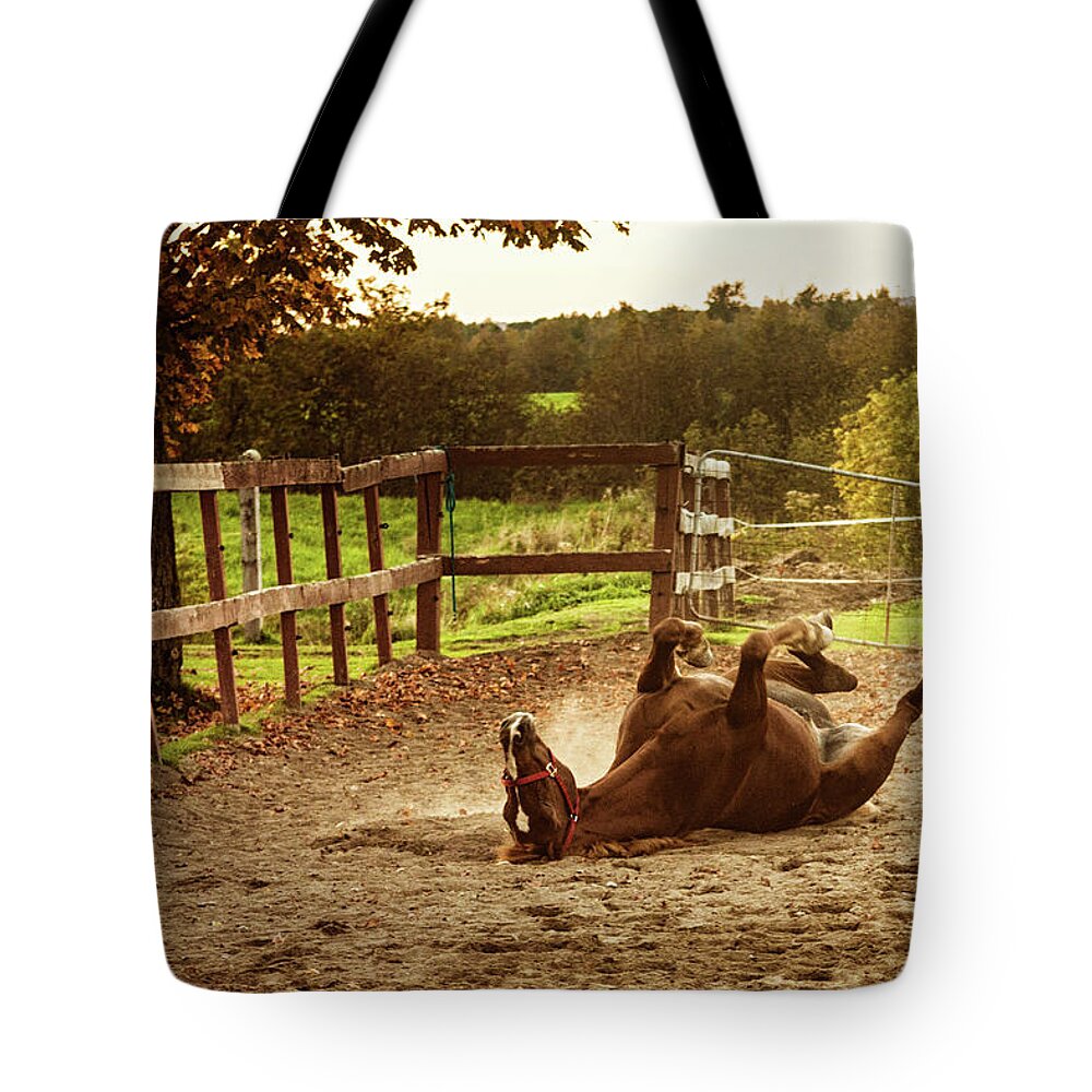 Horse Tote Bag featuring the photograph Horse Upside Down by Patrick Matte
