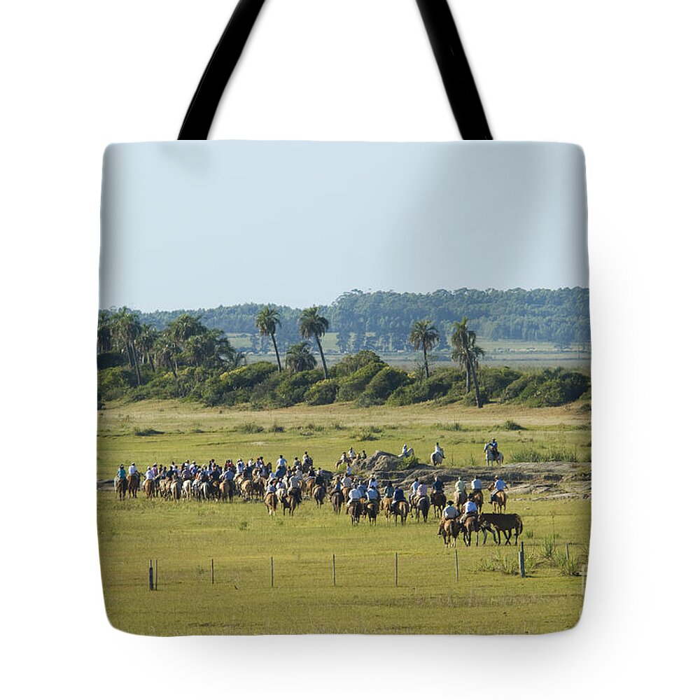Fauna Tote Bag featuring the photograph Horseback Riding In Uruguay by William H. Mullins