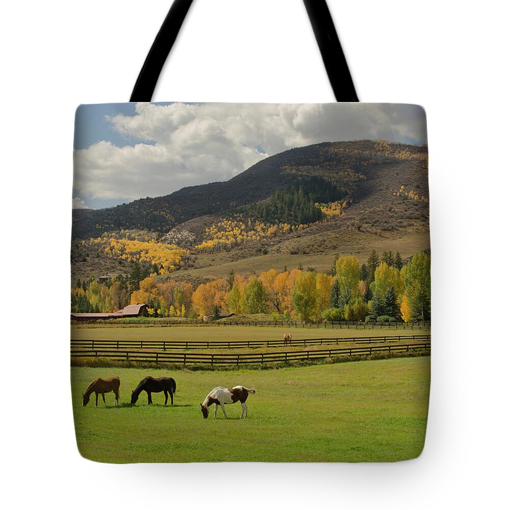 Horse Tote Bag featuring the photograph Horses Grazing In Autumn Pasture by Chapin31