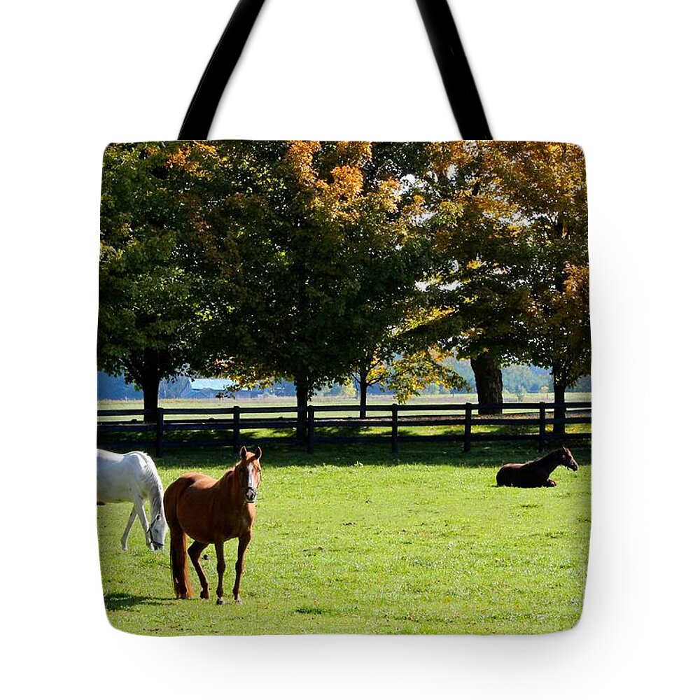 Horse Tote Bag featuring the photograph Horses in Fall by Janice Byer