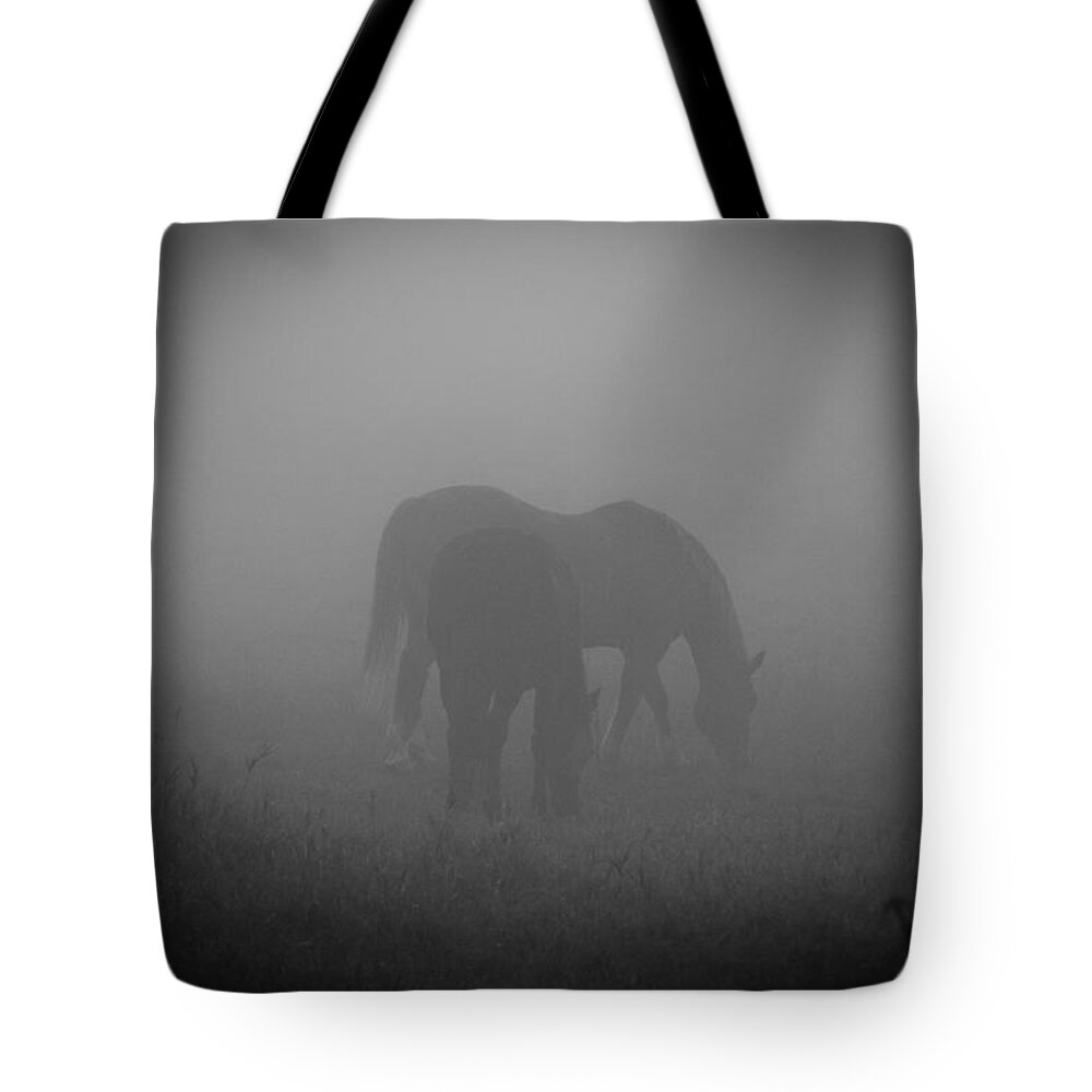 Horses Tote Bag featuring the photograph Horses in the mist. by Cheryl Baxter