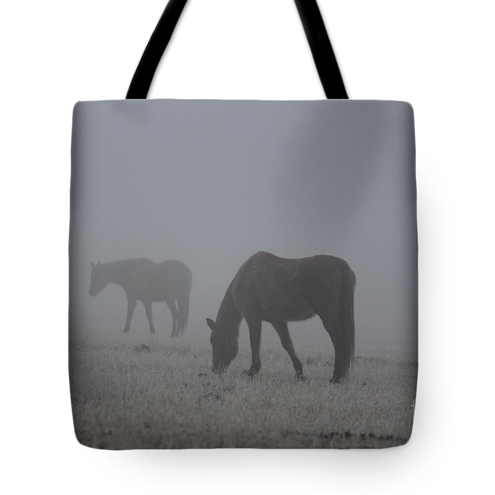 Horses Tote Bag featuring the photograph Horses in the Morning Fog by Ann E Robson