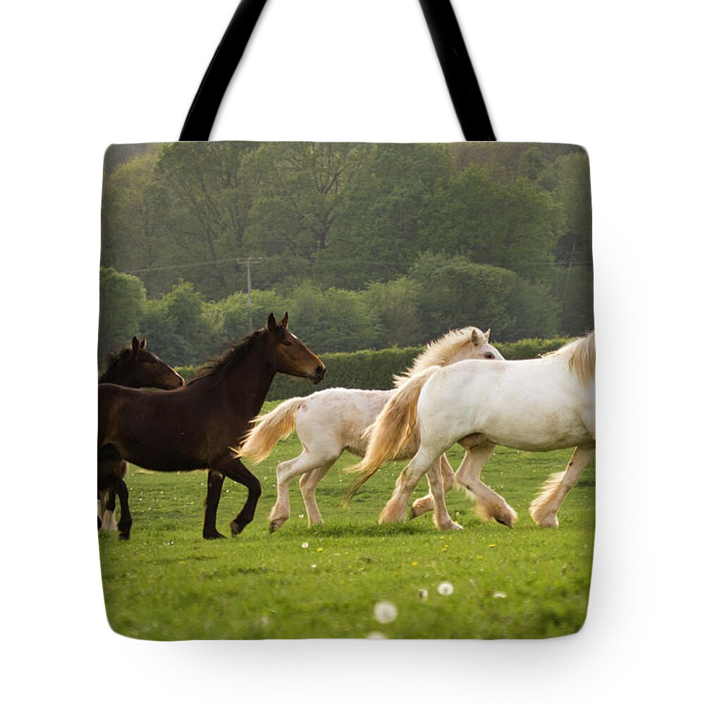  Tote Bag featuring the photograph Horses On The Meadow by Ang El
