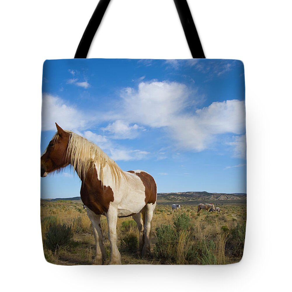 Horse Tote Bag featuring the photograph Horses On The Open Range by Donovan Reese
