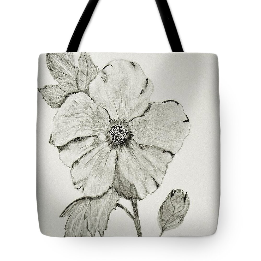 Hibiscus Pencil Drawn Work Canvas Print Tote Bag featuring the drawing Hot Biscuit by Celeste Manning