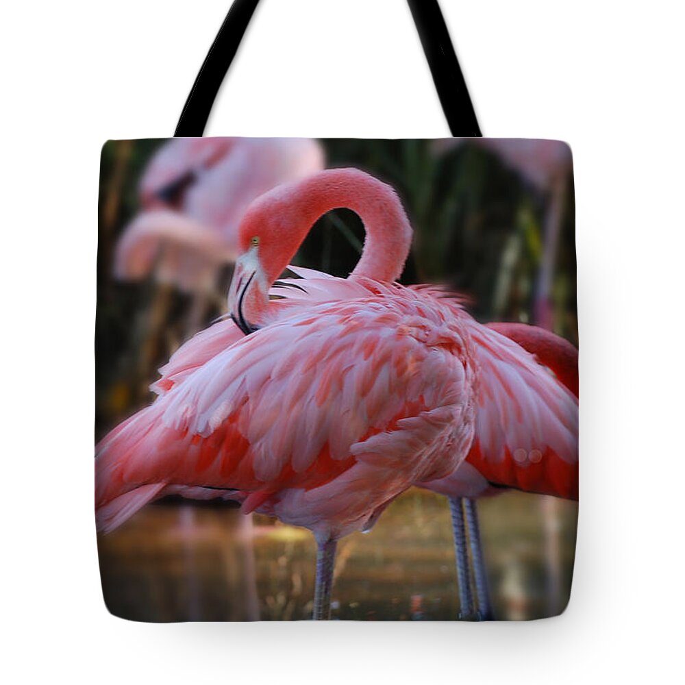 Flamingo Tote Bag featuring the photograph face mask Hot Pink by Patricia Dennis