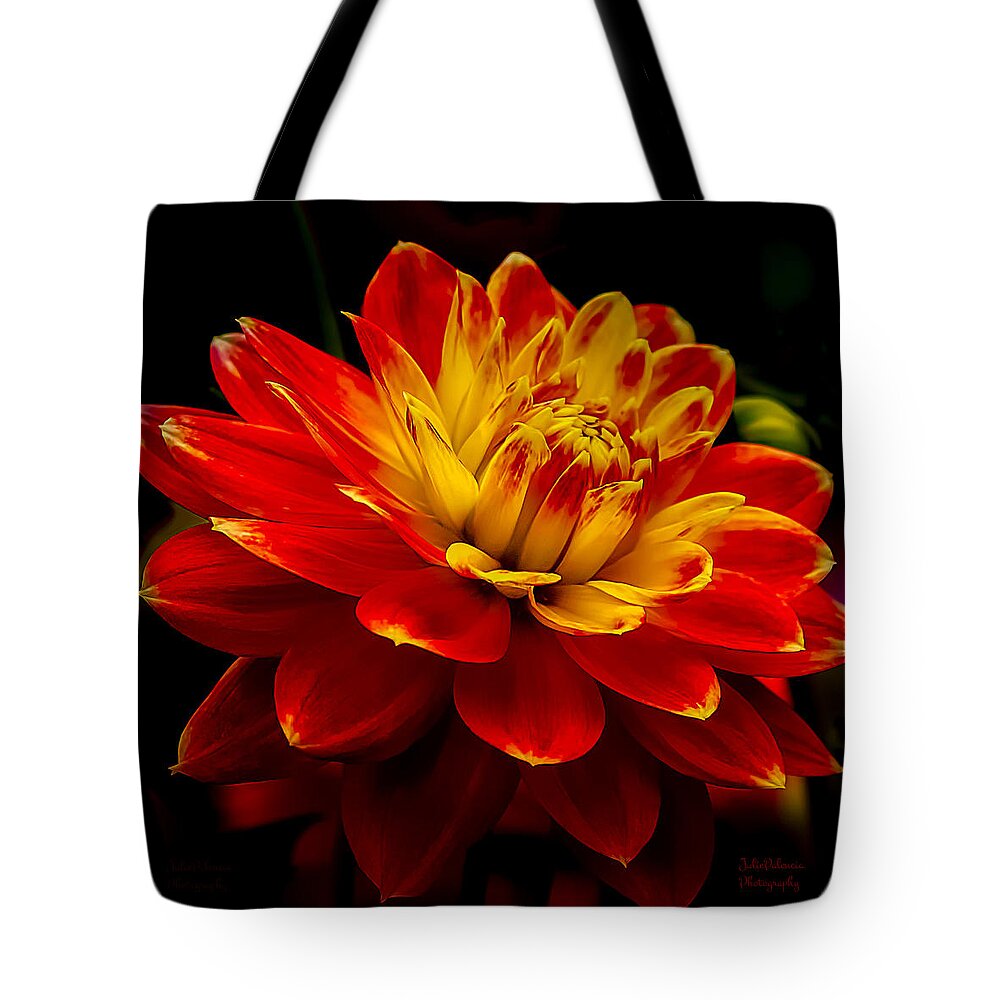 Dahlia Tote Bag featuring the photograph Hot Red Dahlia by Julie Palencia