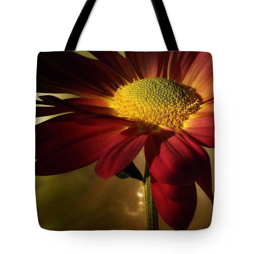 Floral Tote Bag featuring the photograph Hot Toddy by Darlene Kwiatkowski