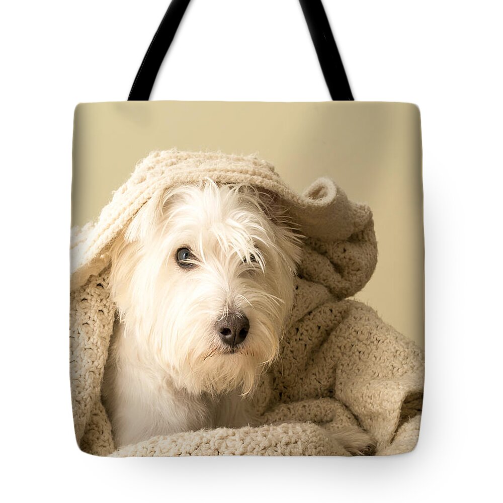 Cute Tote Bag featuring the photograph How about a snuggle card by Edward Fielding