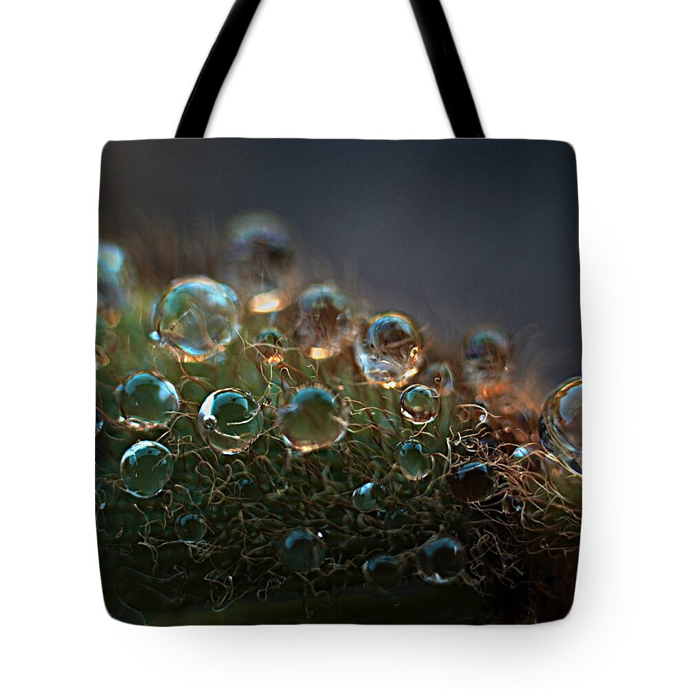 Dew Tote Bag featuring the photograph How Bizzahh by Joe Schofield
