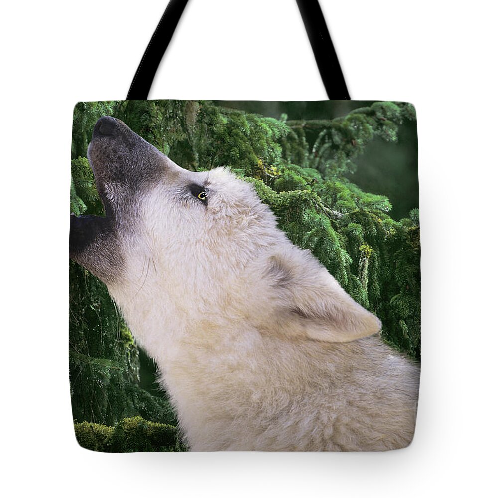 Arctic Wolf Tote Bag featuring the photograph Howlling Arctic Wolf Pup Endangered Species Wildlife Rescue by Dave Welling