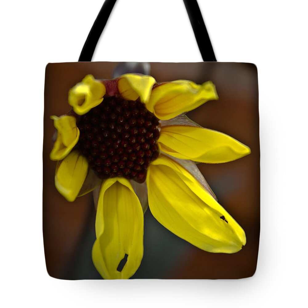 Dahlia Tote Bag featuring the photograph Huangdi by Joel Loftus
