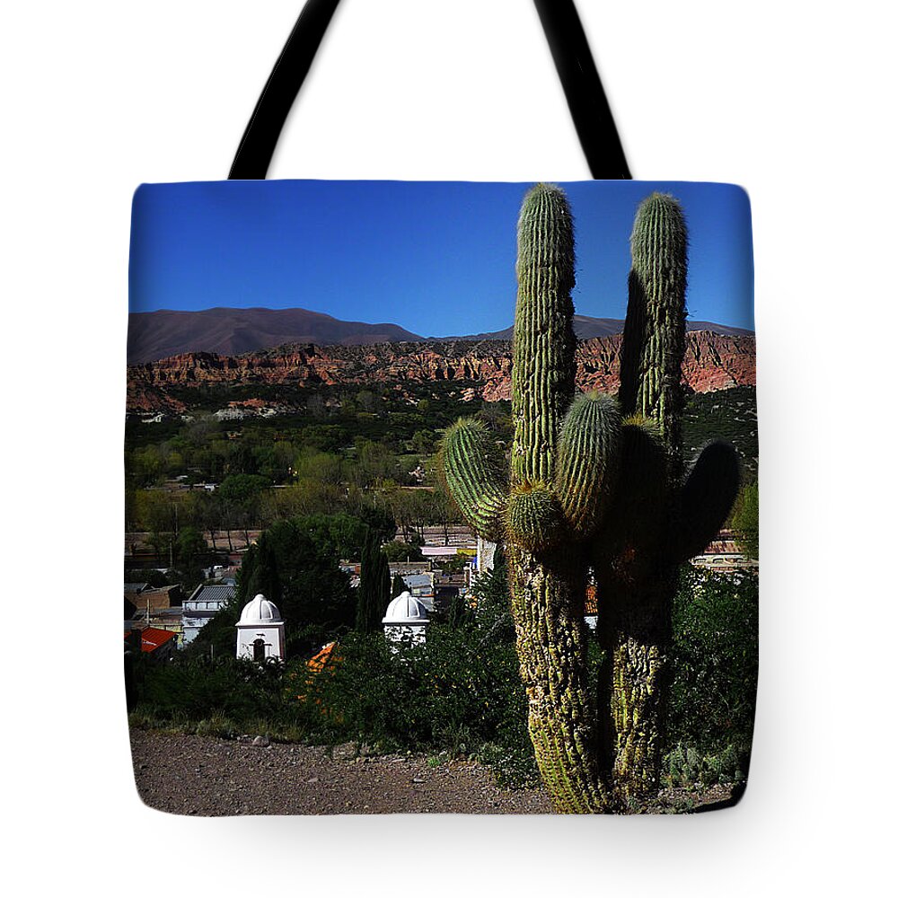 Saguaro Tote Bag featuring the photograph Humahuaca Argentina 2 by Xueling Zou
