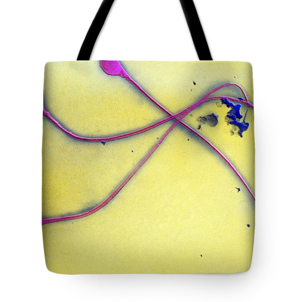 Micrograph Tote Bag featuring the photograph Human Sperm, Sem by David M. Phillips