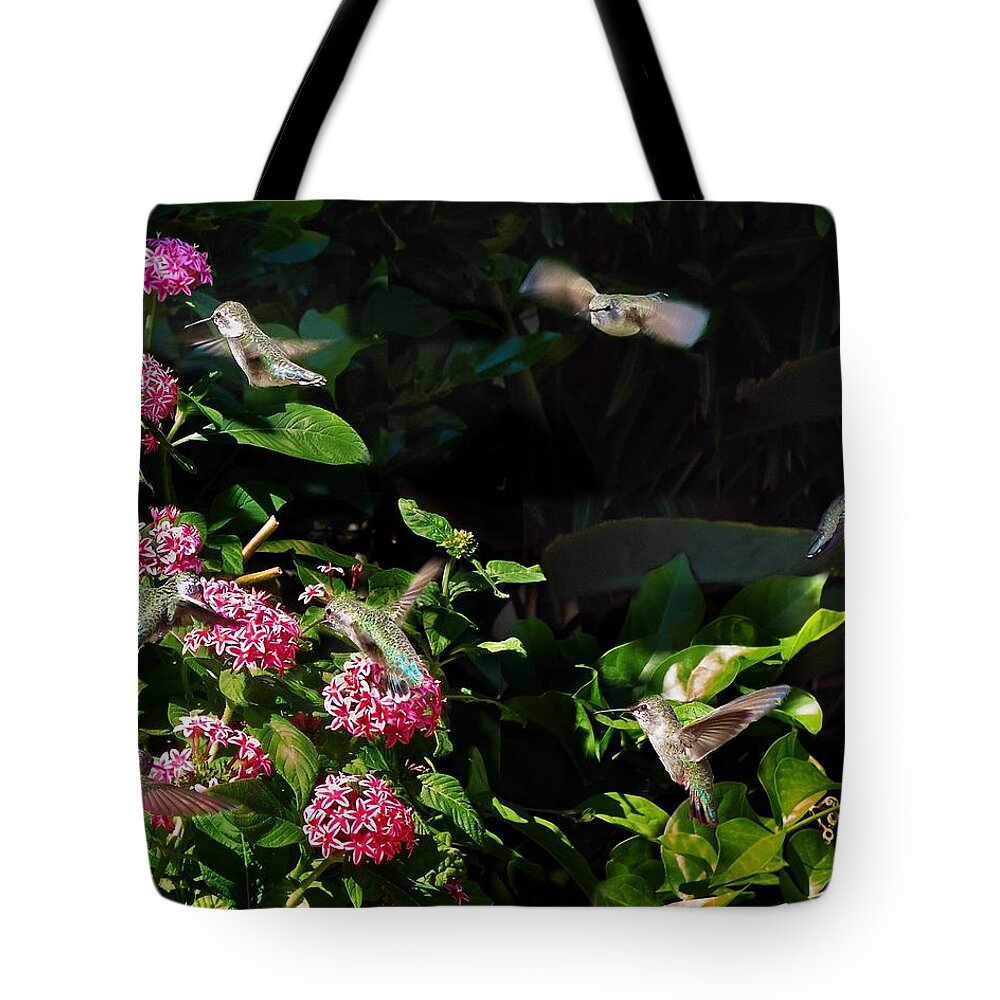 Humming Bird Tote Bag featuring the photograph Humming Bird Dinner Party by Steve Ondrus
