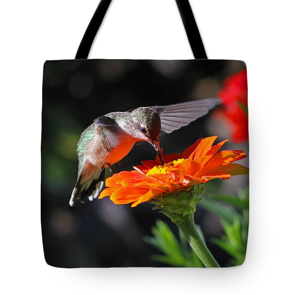 Orange Tote Bag featuring the photograph Hummingbird and Zinnia by Steve Augustin