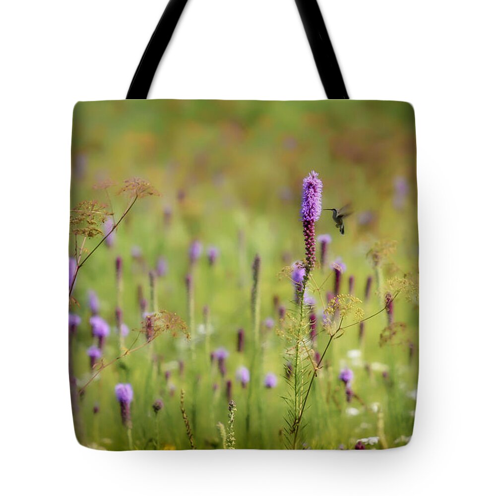 Presson-oglesby Preserve Tote Bag featuring the photograph Hummingbird Dream by James Barber
