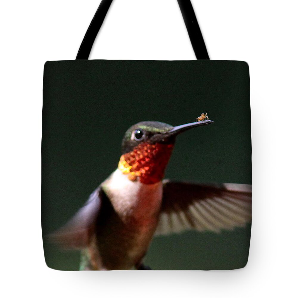 Hummingbird Tote Bag featuring the photograph Hummingbird - Hitching a Ride - Ruby-throated Hummingbird by Travis Truelove