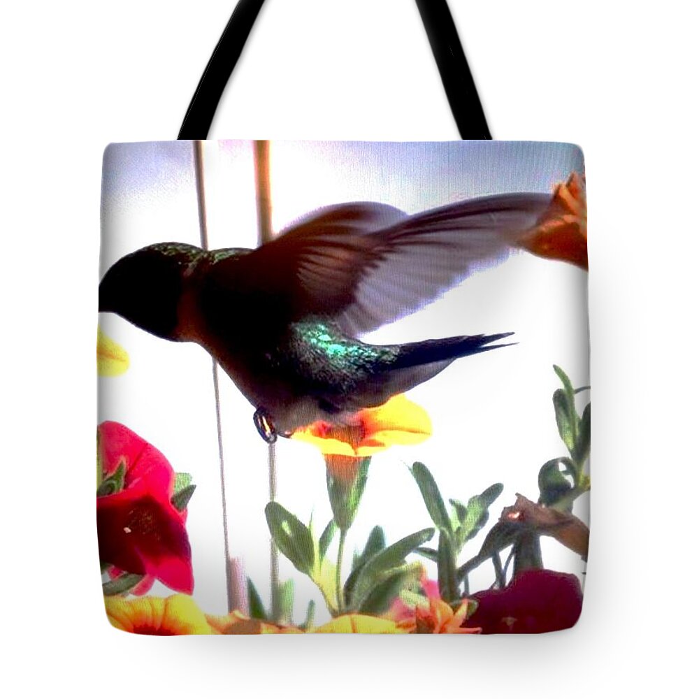 Hummingbird Tote Bag featuring the photograph Hummingbird by Renee Michelle Wenker