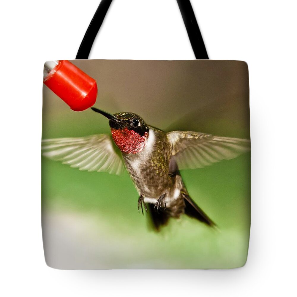 Hummingbird Tote Bag featuring the photograph Hummingbird by Robert L Jackson