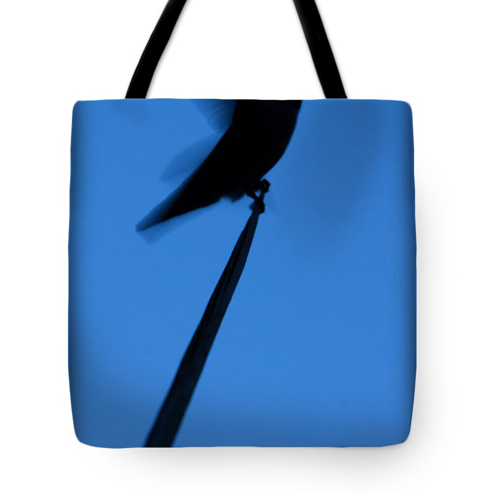 America Tote Bag featuring the photograph Hummingbird Silhouette by John Wadleigh
