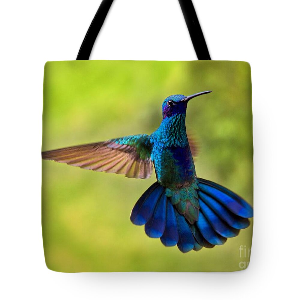 Splendour Tote Bag featuring the photograph Hummingbird Splendour by Al Bourassa