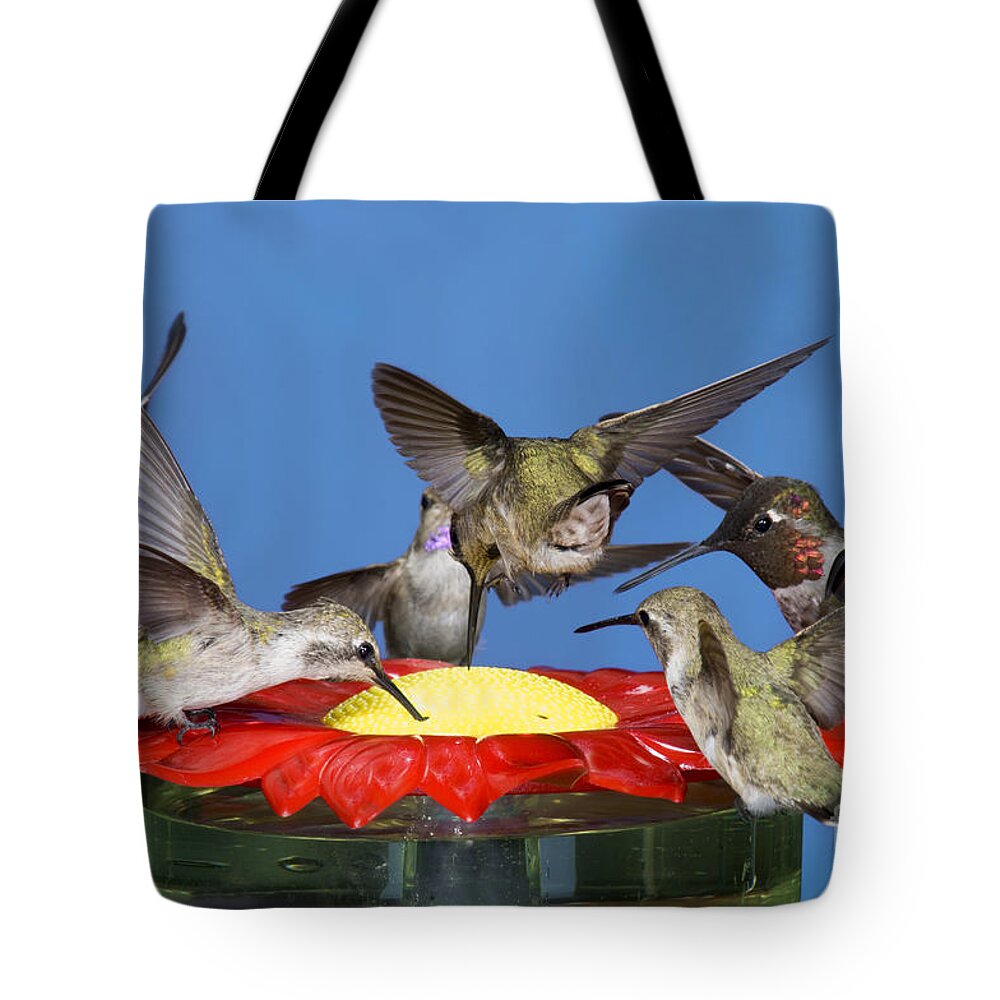 Fauna Tote Bag featuring the photograph Hummingbirds At Feeder by Anthony Mercieca