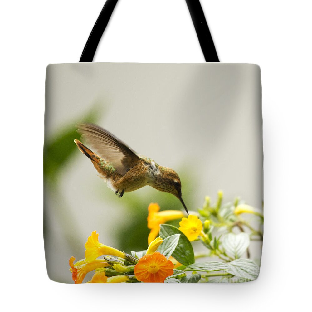 Hummingbird Tote Bag featuring the photograph Hungry Flowerbird by Heiko Koehrer-Wagner