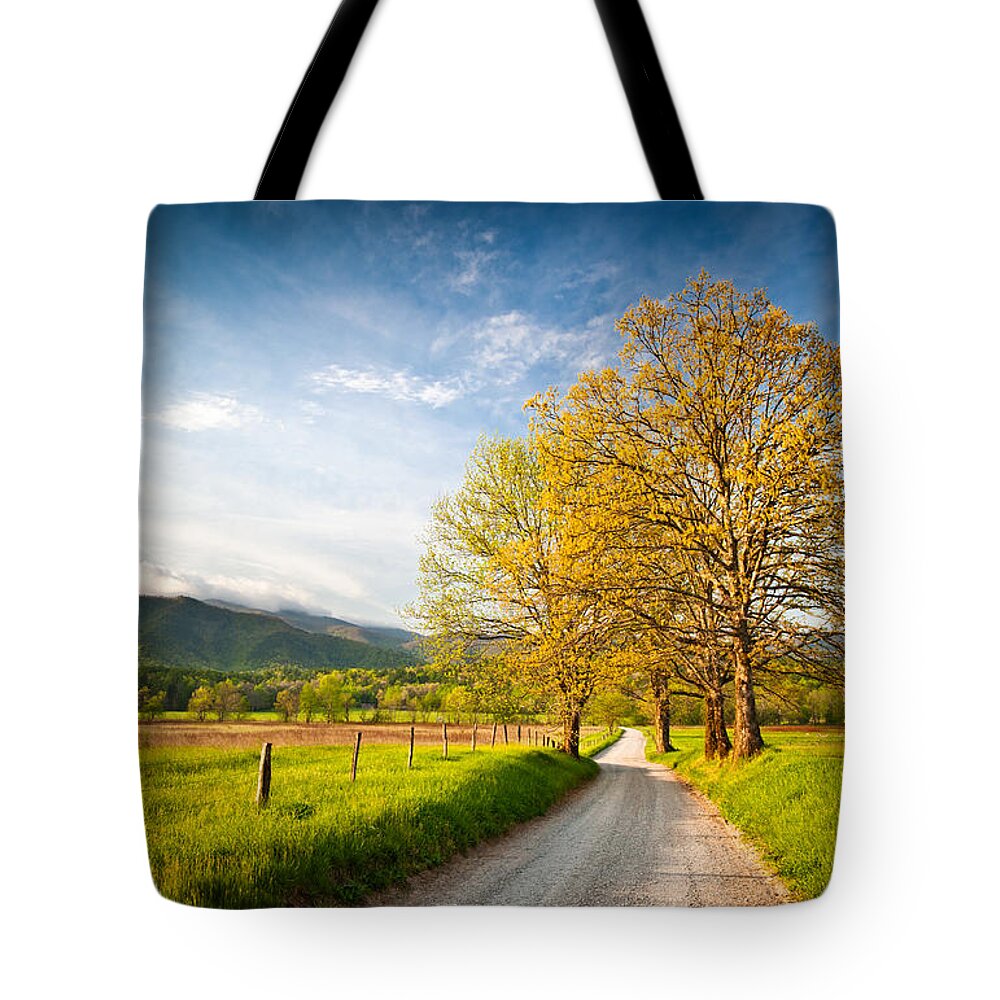 Spring Tote Bag featuring the photograph Hyatt Lane Cade's Cove Great Smoky Mountains National Park by Dave Allen
