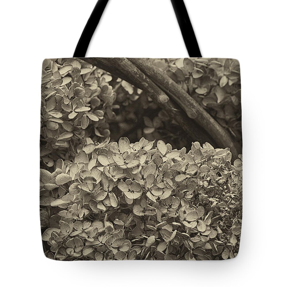 Hydrangea Tote Bag featuring the photograph Hydrangea Blossoms by Carrie Cranwill