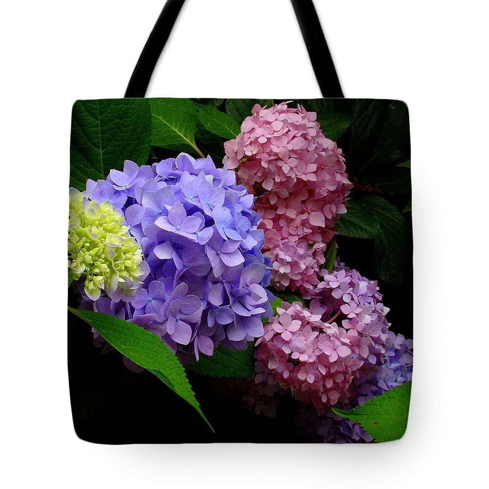 Fine Art Tote Bag featuring the photograph Hydrangea Glow by Rodney Lee Williams