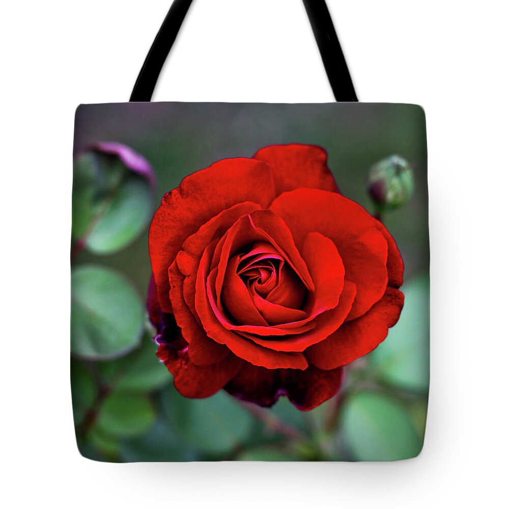 Bud Tote Bag featuring the photograph Hypnotic Red by Annfrau