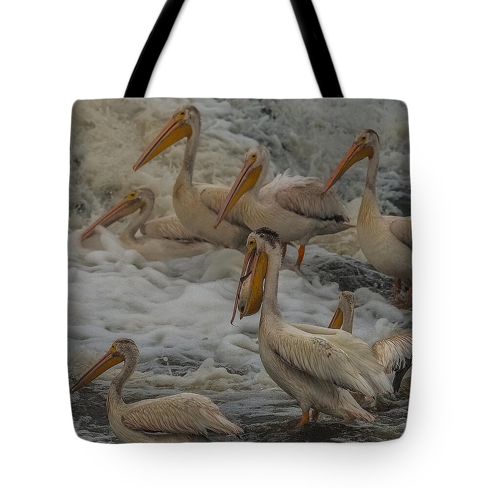 Pelican Tote Bag featuring the photograph I caught one by Paul Freidlund