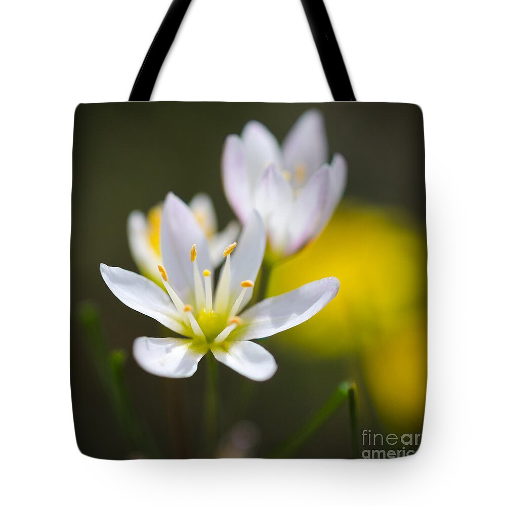 Desert Onion Tote Bag featuring the photograph I Don't Smell Like An Onion by Tamara Becker