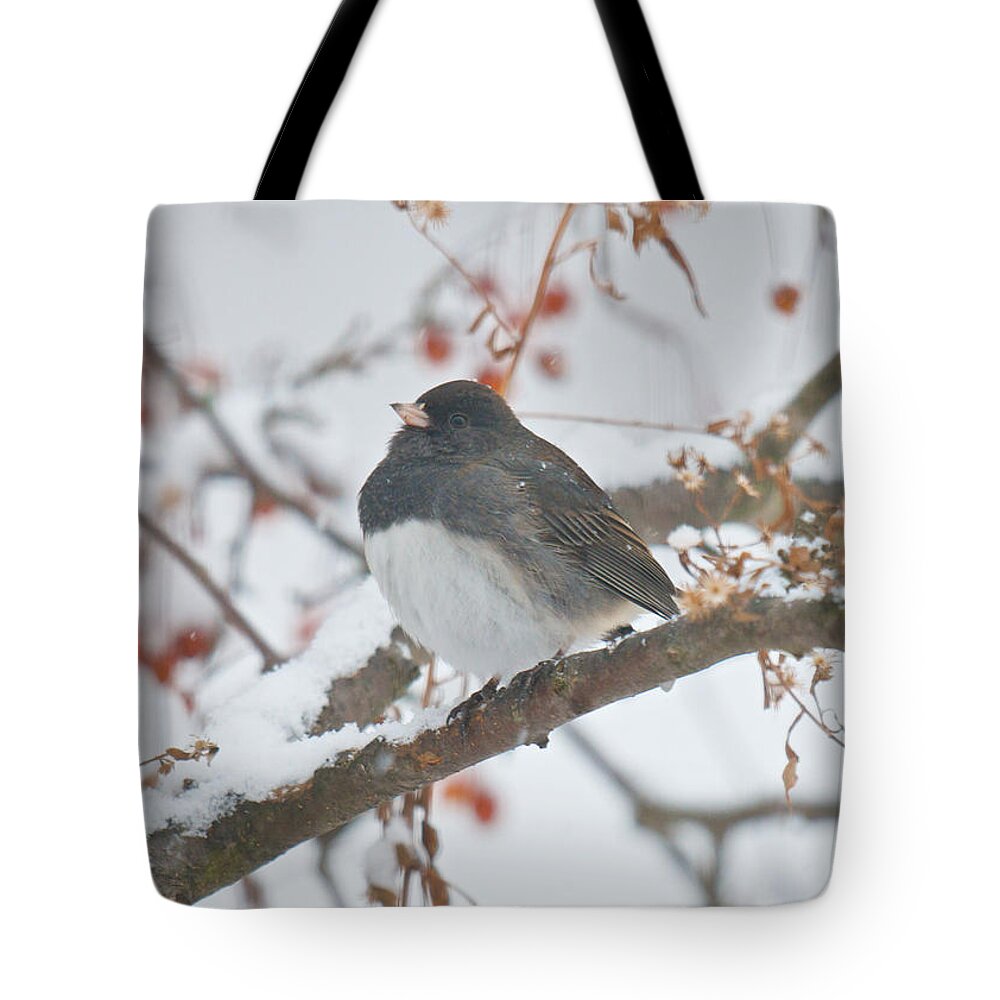 Bird Tote Bag featuring the photograph I Just Want to Keep Warm by Kristin Hatt